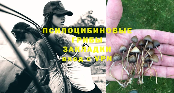 мдпв Надым