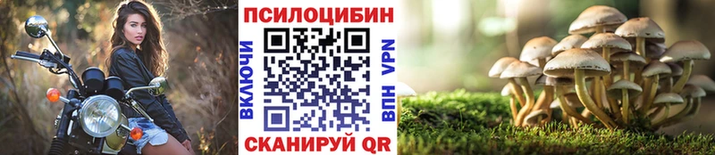 как найти закладки  Катайск  Псилоцибиновые грибы Magic Shrooms 